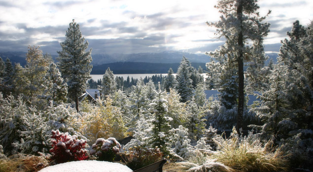 Scenic McCall